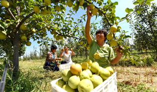 People's Daily article explains China's approach to poverty battle