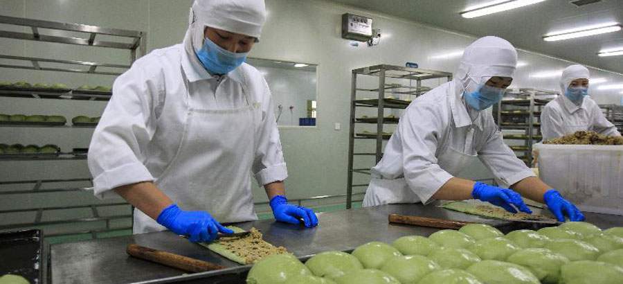 A look at people's daily life in NW China's Ningxia