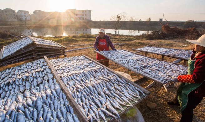 Good weather for pickling, drying fish in China's Jiangxi