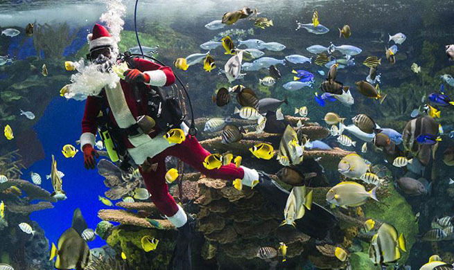 Diver dressed as Santa Claus performs in Toronto's holiday show