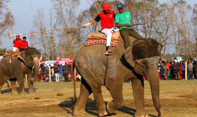 14th Elephant Festival held in southwest Nepal