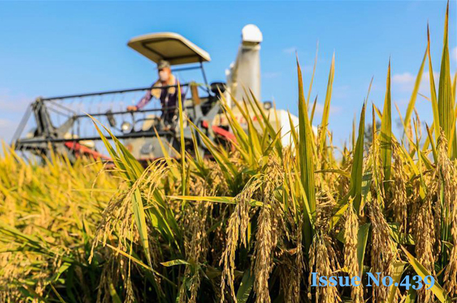 China makes big step forward in rural reforms