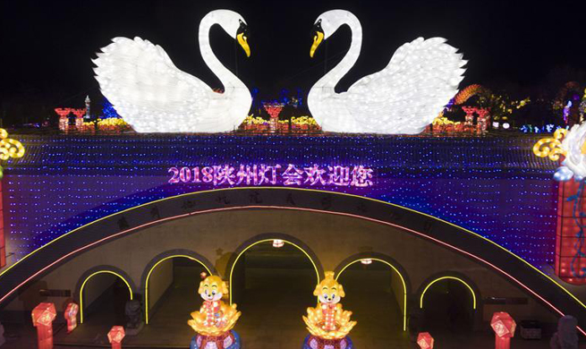 Lantern fair celebrating upcoming Spring Festival to open in C China