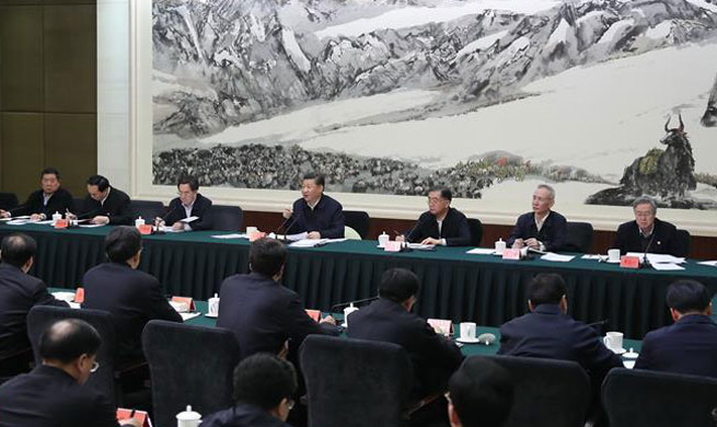 Xi stresses difficulty, urgency of poverty alleviation