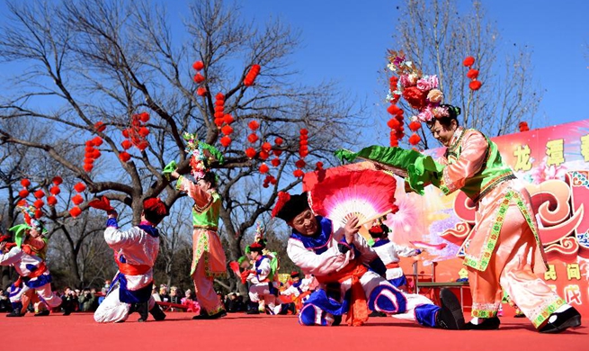 Jubilant Chinese Lunar New Year nationwide
