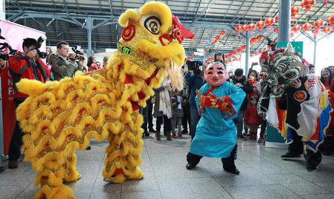 Chinese Spring Festival Fair held in Dublin