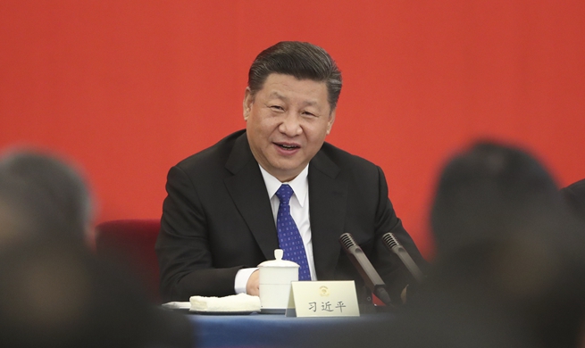 China's party system is great contribution to political civilization: Xi