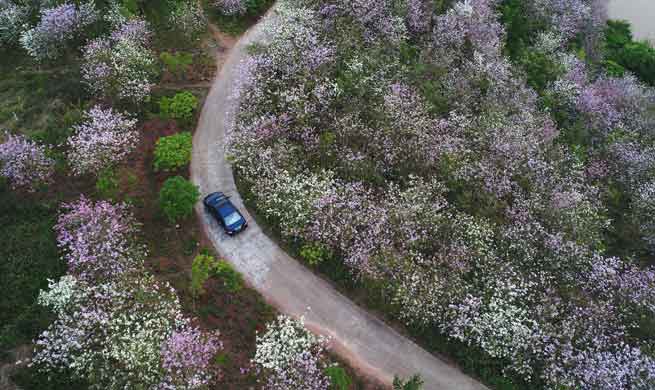 Spring scenery of Nanning, south China's Guangxi