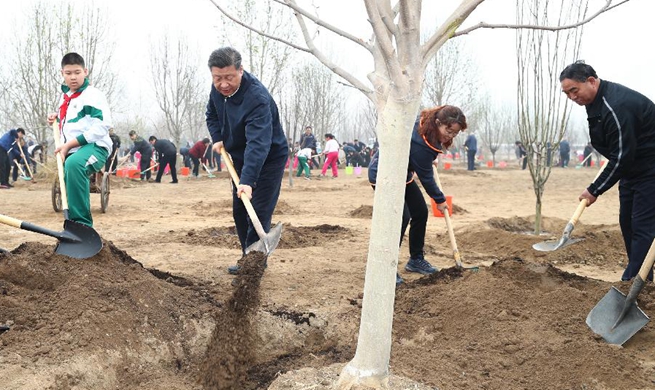 Xi stresses people-centered approach in land greening programs