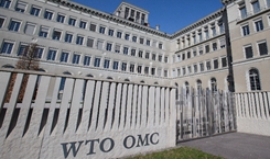 Spotlight: U.S. harms global trading system with tariffs -- experts