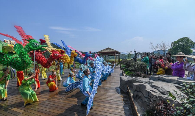 Local tourism benefited by "tens of thousands of beautiful villages" project in E China