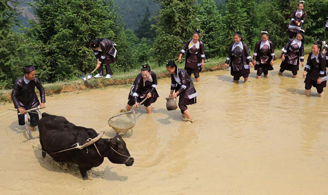 Ploughing festival celebrated in SW China's Guizhou