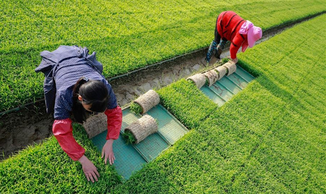 In pics: farmers work across China