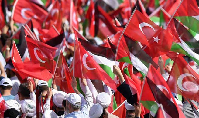 Mass rally held in Istanbul against Israeli killings of Palestinians