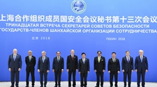 SCO countries pledge to enhance political trust, safeguard stability for development