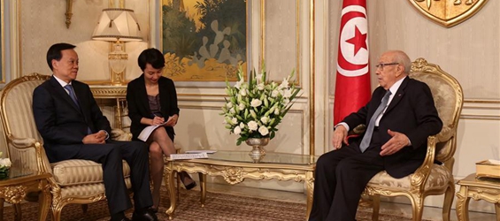 Tunisia attaches great importance to boosting ties with China: president