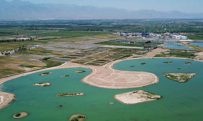 Yinchuan strengthens protection, restoration of wetland