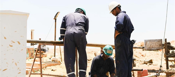 Feature: Egypt, China join hands to build up Egypt's new capital