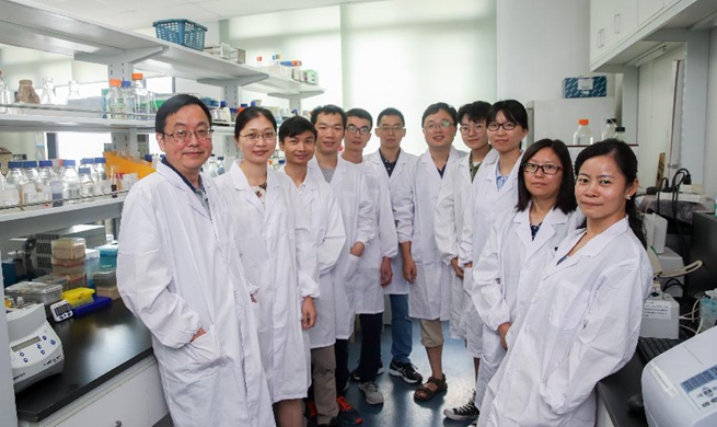 China Focus: Chinese scientists perform genetic surgery to create first single-chromosome yeast