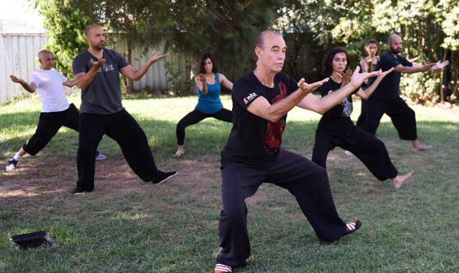 Feature: More and more Turks practice Tai Chi to ease stress of city life