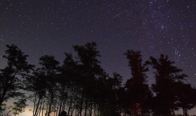 Perseid Meteor Shower in starry sky