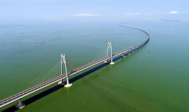 Xinhua Headlines: From plans to actions, Guangdong-Hong Kong-Macao Greater Bay Area development proceeds