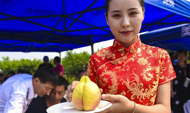 Peach contest held to boost agriculture development in N China's Hebei