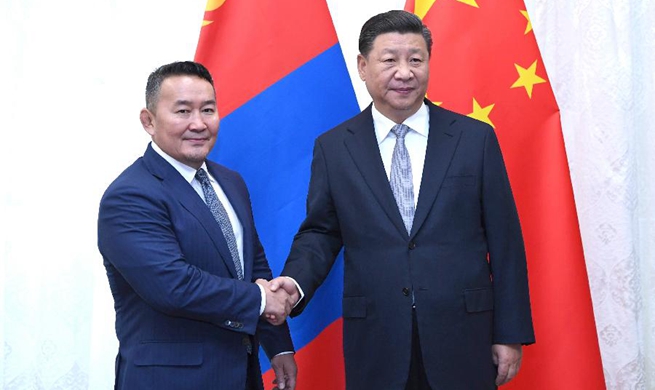 Xi meets Mongolian president on ties