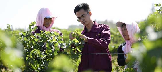 Ecological relocation in Hongsibu District, China's Ningxia