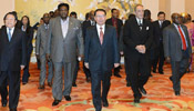 Senior CPC official calls for closer cultural exchanges with Africa