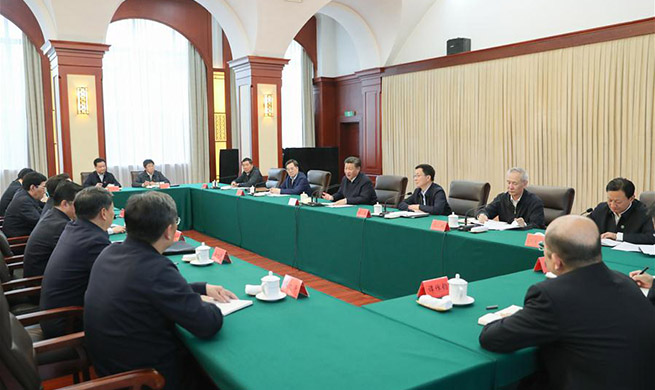 Xi stresses revitalization of northeast China