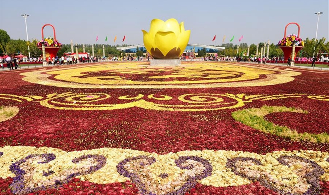 Flower and plant industry boosts rural economy in China's Henan