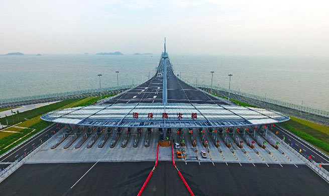 Hong Kong-Zhuhai-Macao Bridge officially opens to traffic