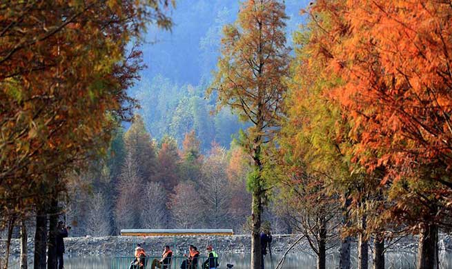 In pics: autumn scenery across China