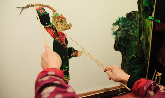 Pic story of shadow puppetry player in China's Zhejiang