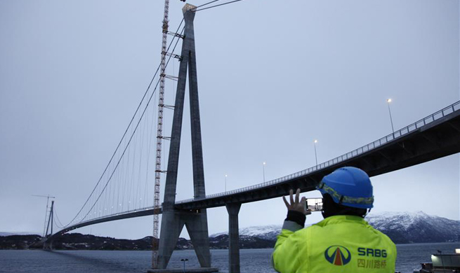 Norway's 2nd largest bridge built by Chinese firm opens to traffic