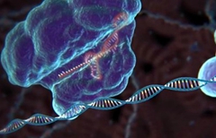 Spotlight: Single-cell analysis of gene activity named Science's Breakthrough of the Year