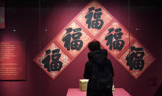 Hundreds of exhibits to be displayed at Palace Museum to celebrate Spring Festival
