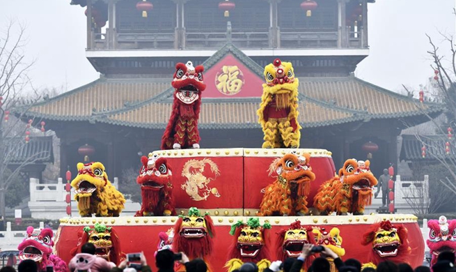 Cultural activities held across country to celebrate Chinese New Year
