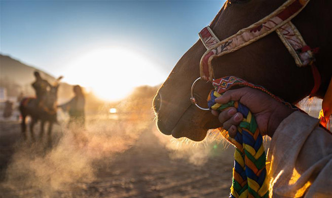 Across China: Changing role of Tibetan horses reflects region's modernization