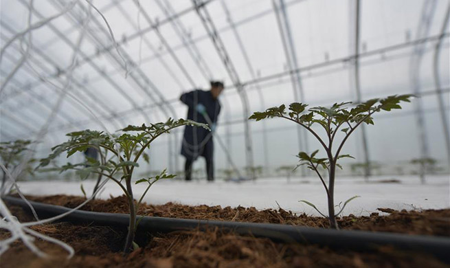 Farmers busy working in early spring across China