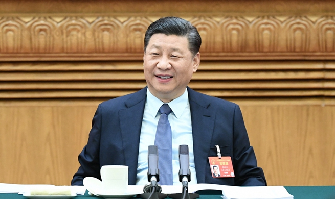 Xi stresses implementation of rural revitalization strategy