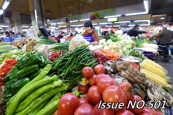 Chinese economy kicks off 2019 on a stable note