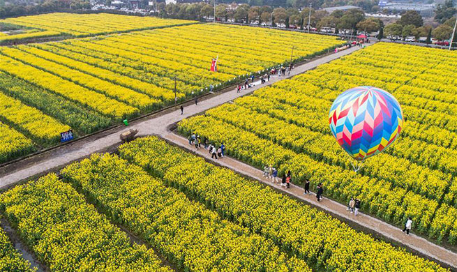 Cole flower tourism festival kicks off in Huzhou, east China's Zhejiang