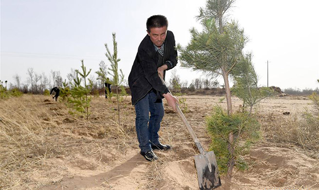 Afforestation efforts taken in Yulin City, NW China's Shaanxi