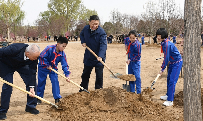 Xi stresses wide participation in promoting afforestation