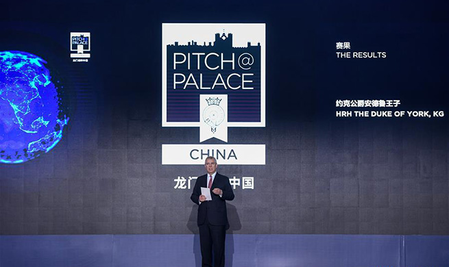 Final of Pitch@Palace China held in Shenzhen