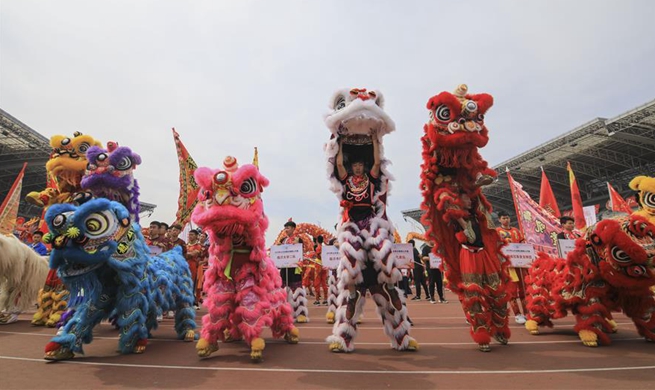 Dragon and lion dance competition held in Linyi, east China's Shandong