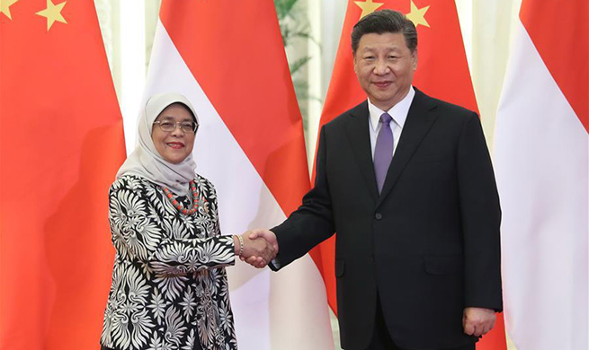 Xi meets Singaporean president