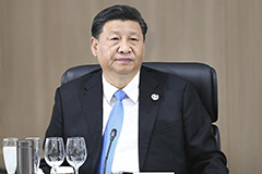 Chinese president attends G20 summit